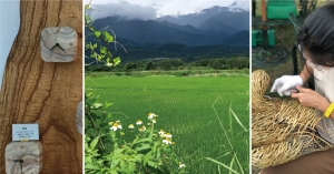 【里山經濟】以花蓮在地國產木竹材，創造山村微型產業的友善循環
