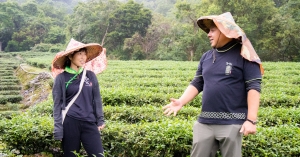 【新北坪林】東成茶園：老茶園大變身，堅守包種茶傳承，引入接單製造概念，打造台灣莊園茶葉品牌