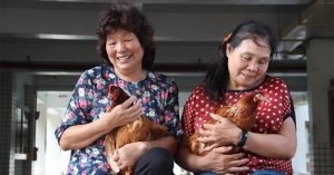 【社區發展】送餐、養雞帶來樂齡生活？「銀色大門」與「食二糧」，用創新服務為長者謀幸福