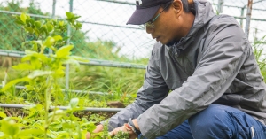 【新北金山】寧靜海香草園：轉行青農，從零開始，堅持有機農法，打造自然療癒的香草世界
