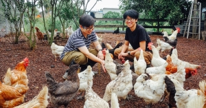 【台北北投】隨野家農場：台北也能隨野而居！她們花4年孵一座蛋雞的快樂農莊