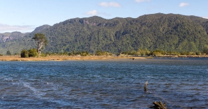 【地方創生．紐西蘭】從衝突到漁酪共好，紐西蘭奧雷雷流域水質改善計畫