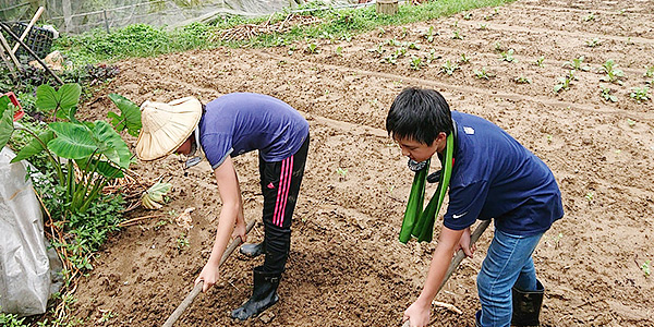 Green Media 綠媒體 有時是道光影 一個轉角 便能喚起心之所向