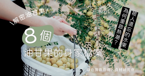 【食材研究會】解密油甘果！被人遺忘的水果為何重啟熱潮？8個油甘果的身家檔案