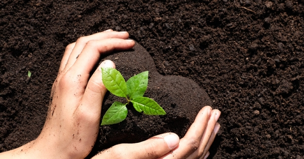 【永續設計】可堆肥生質袋：循環再利用，開創永續新價值！