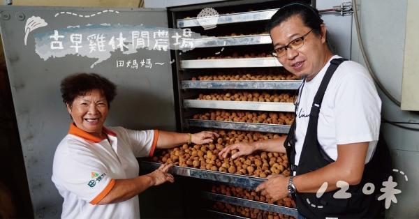 【記憶中的那一味07】「養在奶雞樹下的土雞」名號響四方│彰化芬園「古早雞農場」