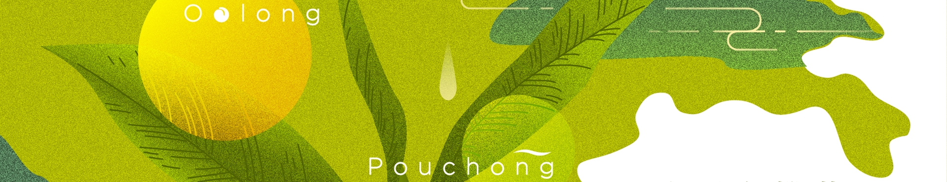 2020臺灣有機茶大賞:有機茶界的米其林大賽