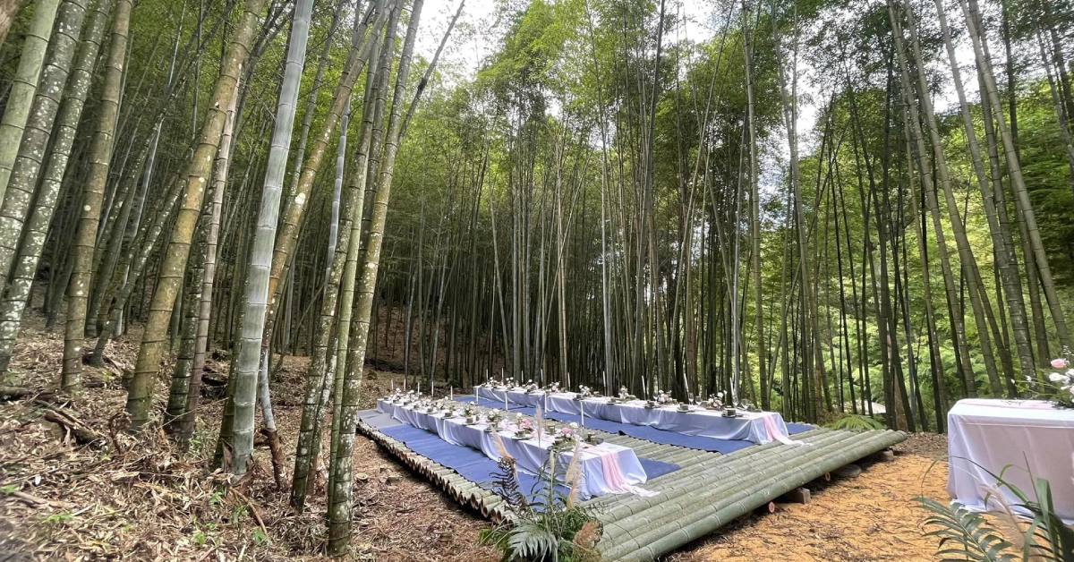 【森林療癒】建築師甘銘源、李綠枝如何以竹構美學打造靜心的森林療癒園區