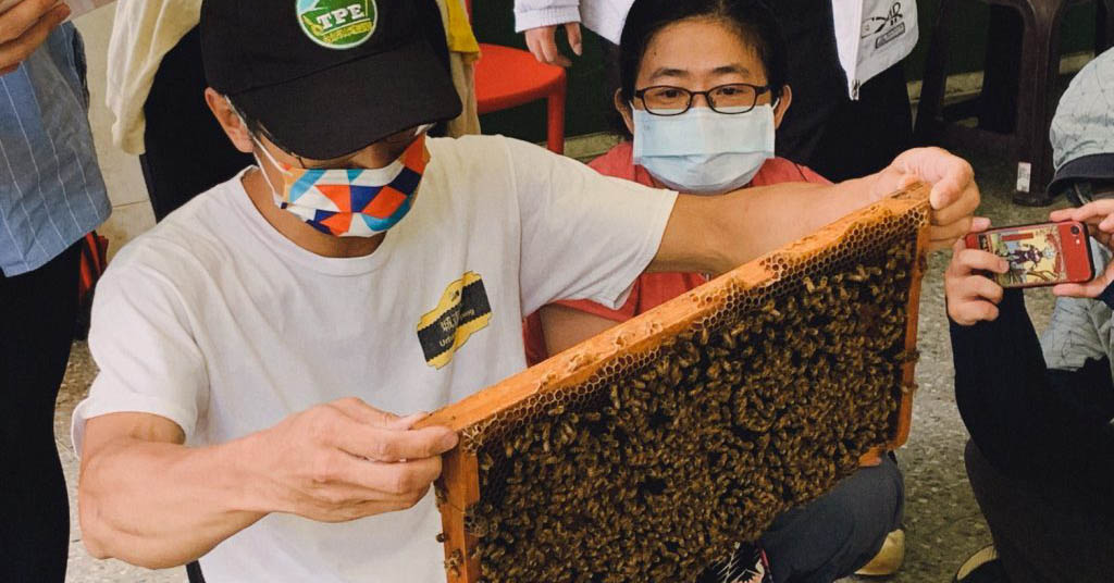 【生態保育】自然出擊！讓城市擁有再次「蜂」狂的機會與可能